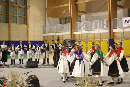 Folklorni festival 26 Foto Ljubo Vukelič